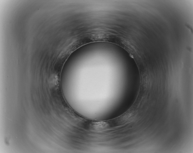X0000101170087200807071231