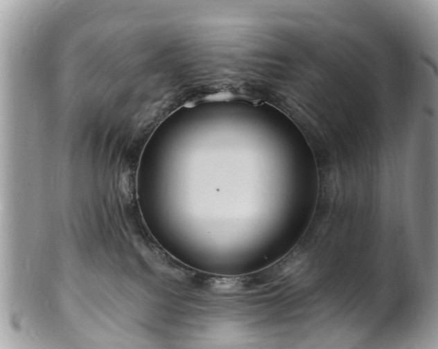 X0000101170088200807071231