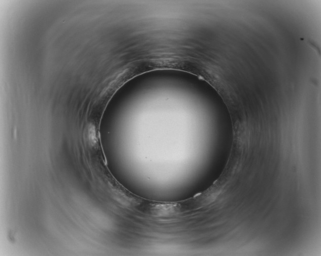 X0000101170089200807071231
