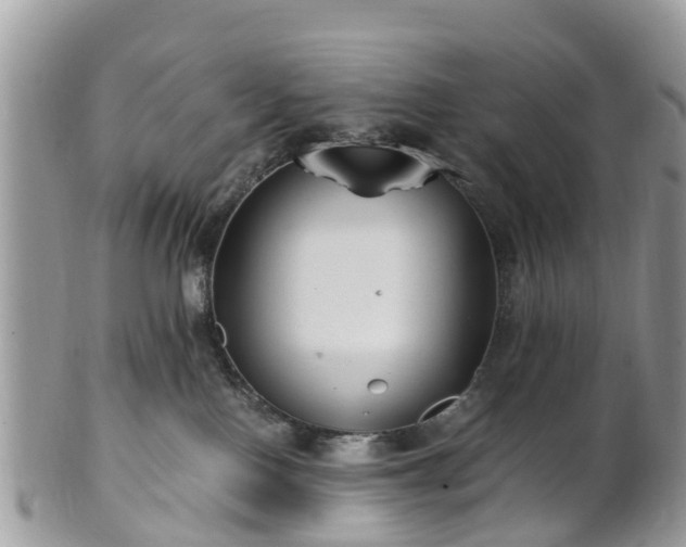X0000101170090200807071231