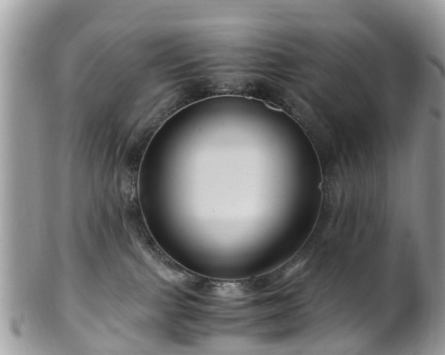 X0000101170091200807071231