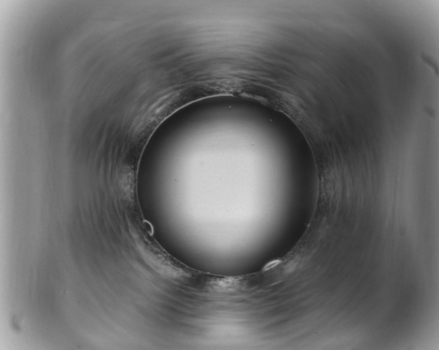 X0000101170092200807071231