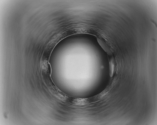X0000101170093200807071231