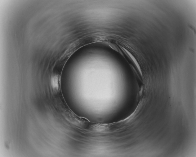 X0000101170094200807071231