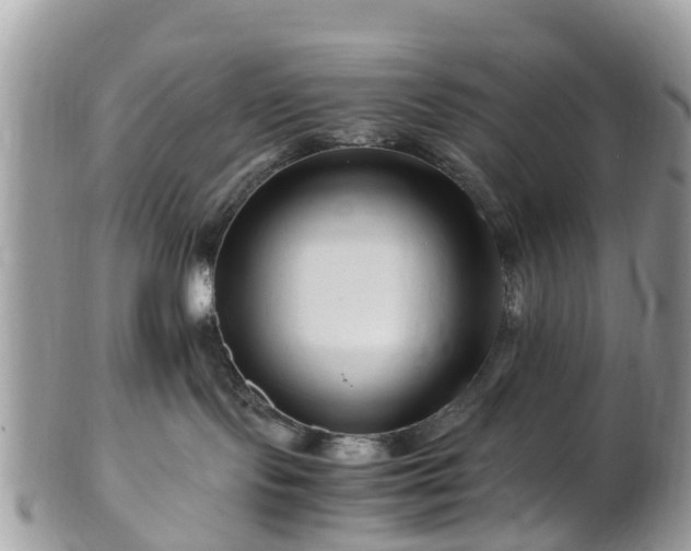 X0000101170095200807071231