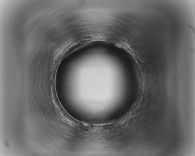 X0000101170097200807071230
