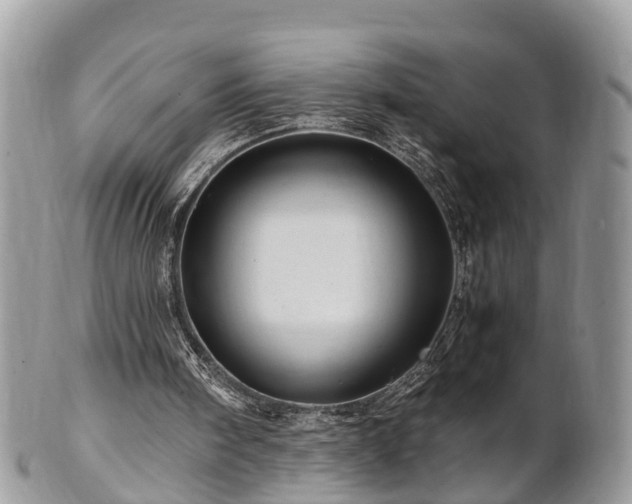 X0000101170098200807071230