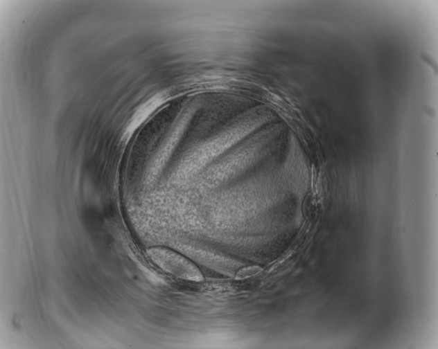 X0000101170099200807071230