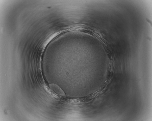X0000101170100200807071230