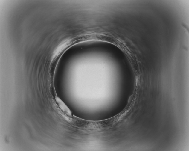 X0000101170101200807071230