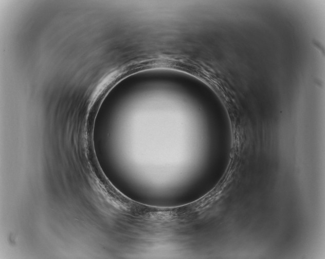 X0000101170102200807071230