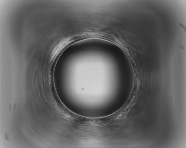 X0000101170103200807071230