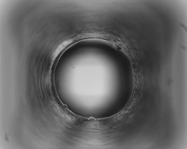 X0000101170104200807071230