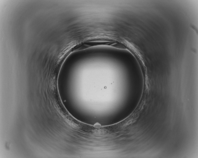 X0000101170105200807071230