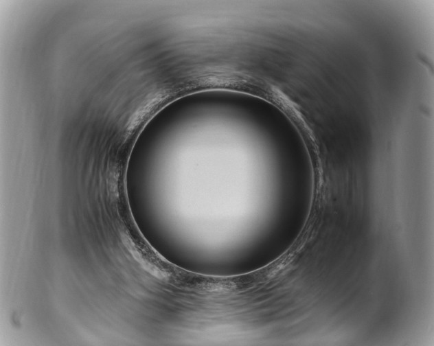X0000101170106200807071230