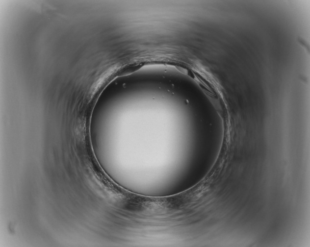 X0000101170107200807071230