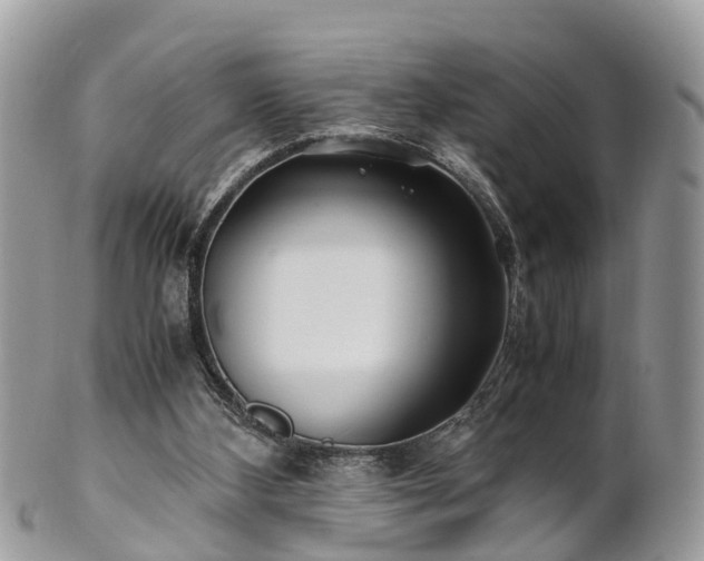 X0000101170108200807071230