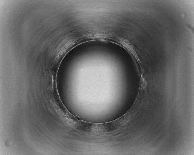 X0000101170109200807071230