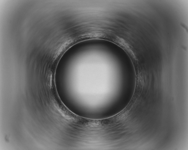 X0000101170110200807071230