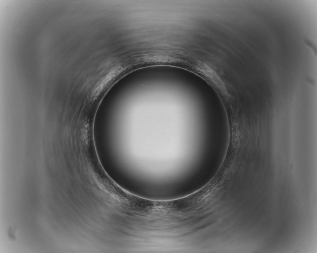 X0000101170111200807071230