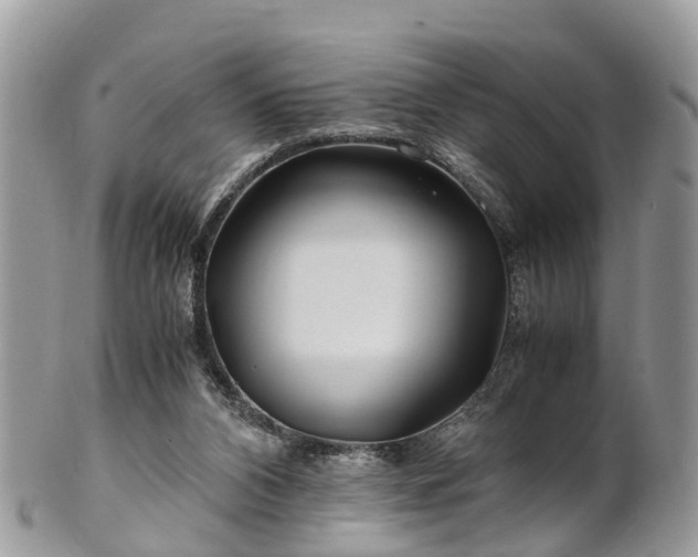 X0000101170112200807071230