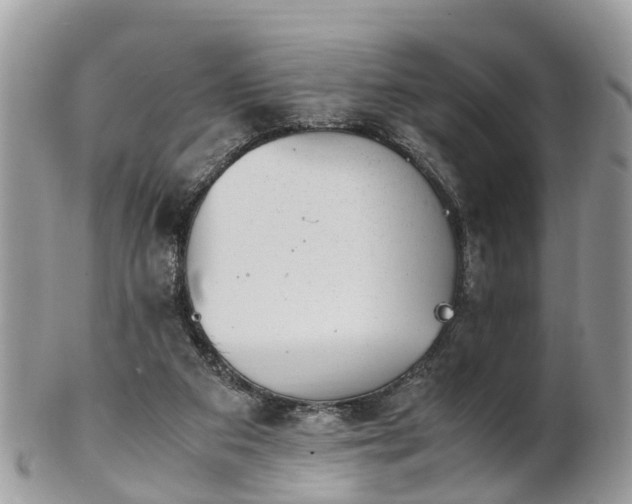 X0000101170113200807071230