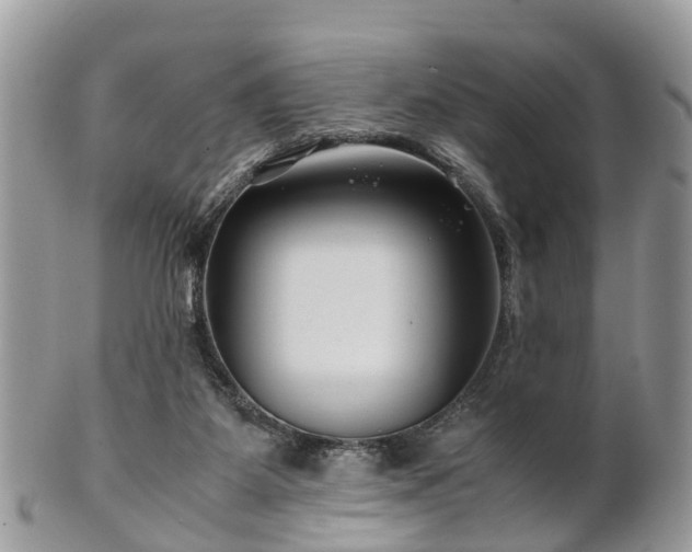 X0000101170115200807071230