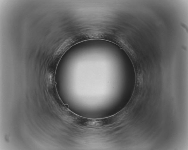 X0000101170117200807071230