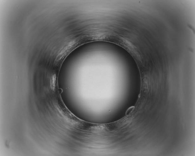 X0000101170118200807071230