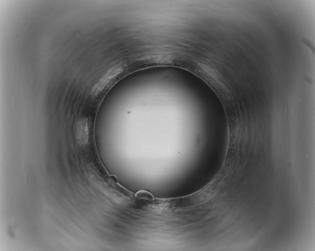 X0000101170120200807071230