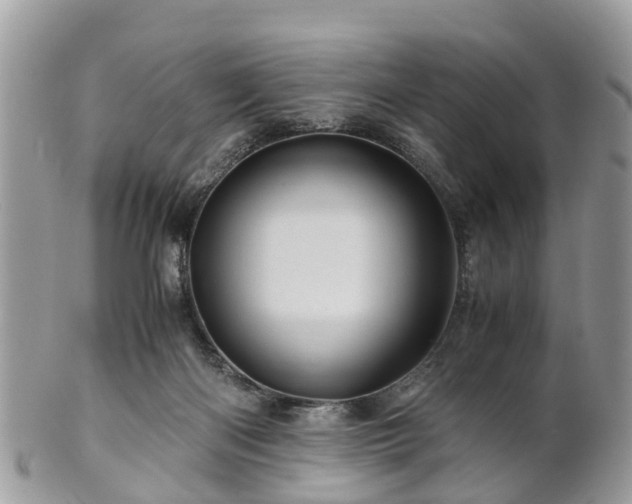 X0000101170122200807071230