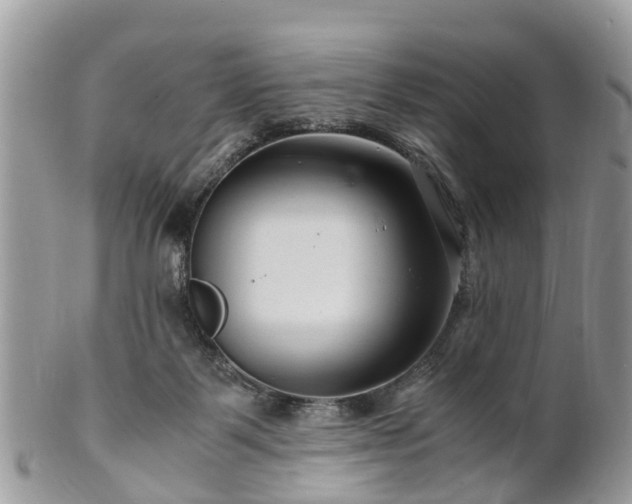 X0000101170123200807071230