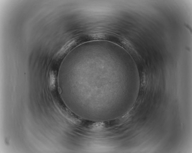 X0000101170124200807071230