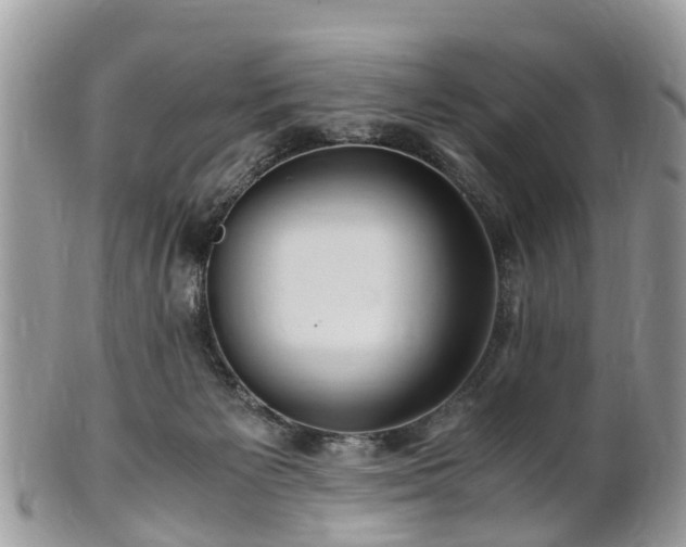 X0000101170125200807071230