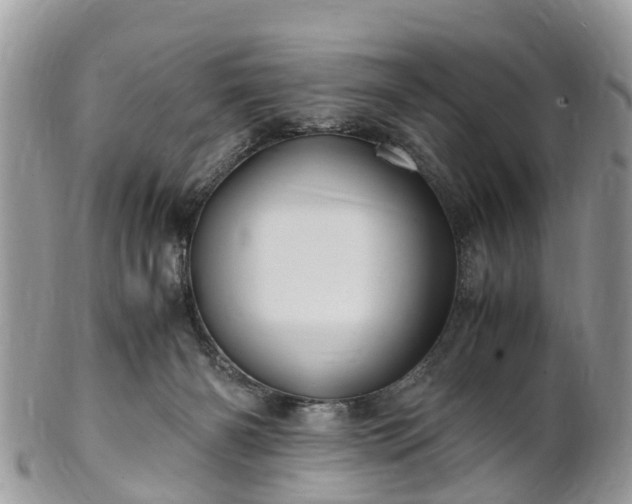 X0000101170126200807071230