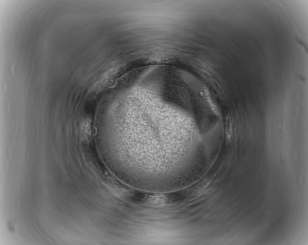 X0000101170127200807071230