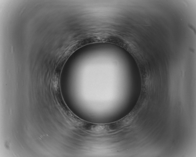 X0000101170129200807071230