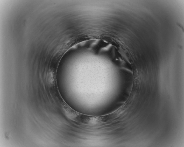 X0000101170130200807071230