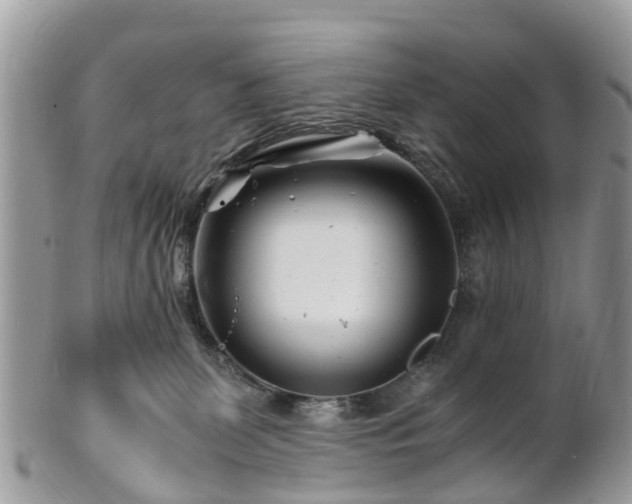 X0000101170131200807071230