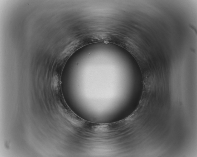 X0000101170132200807071230