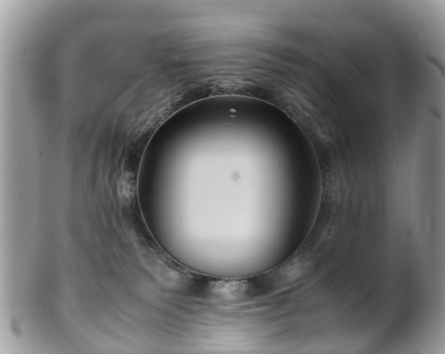 X0000101170135200807071230