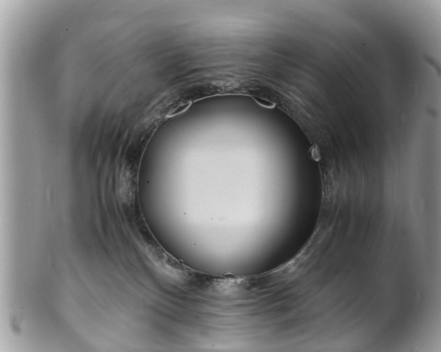 X0000101170136200807071230