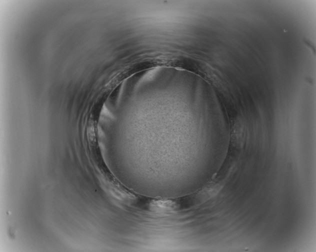 X0000101170137200807071230
