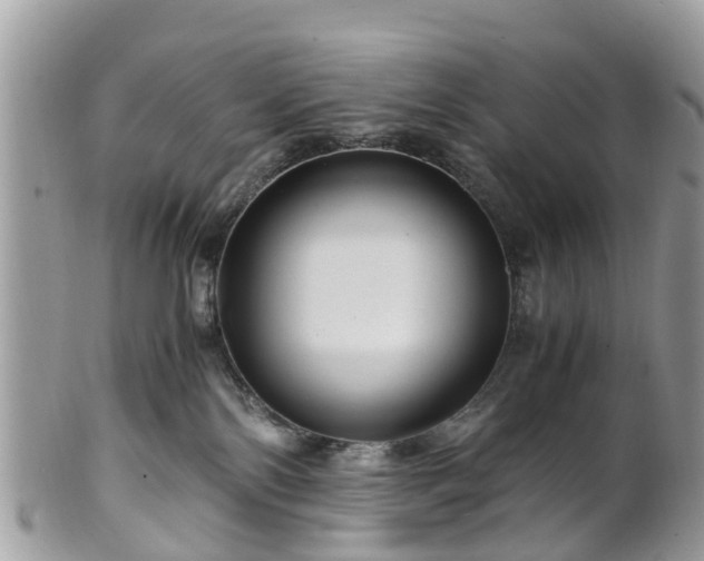 X0000101170138200807071230