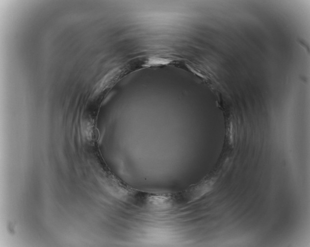 X0000101170139200807071230