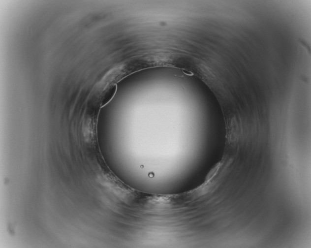 X0000101170140200807071230