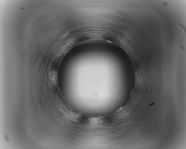X0000101170141200807071230