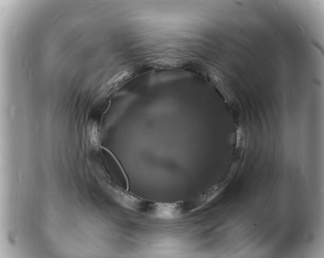 X0000101170143200807071230