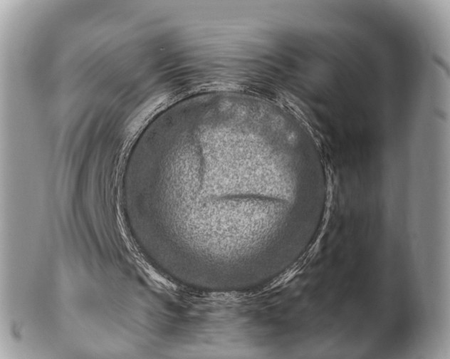 X0000101170145200807071229