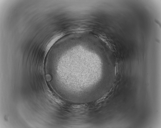 X0000101170147200807071229